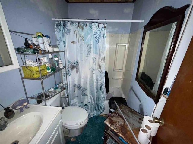 full bathroom featuring vanity, shower / bath combination with curtain, and toilet