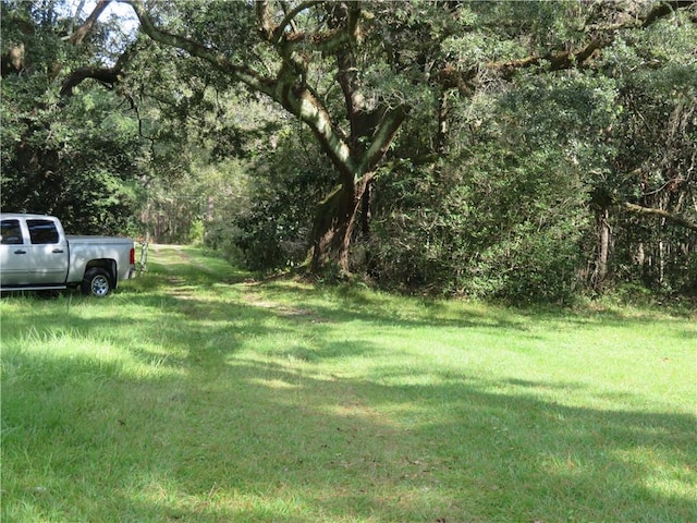 0 Hemley Rd, Coden AL, 36523 land for sale