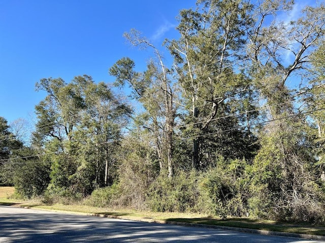 7940 Lebaron Ave E, Citronelle AL, 36522 land for sale