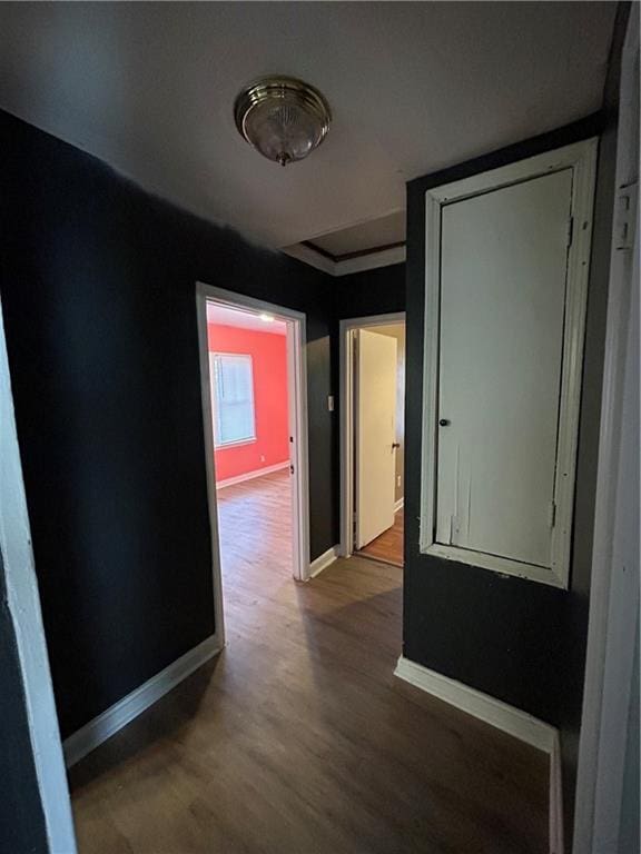 hallway with wood-type flooring