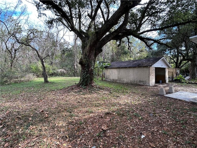 view of yard featuring a shed