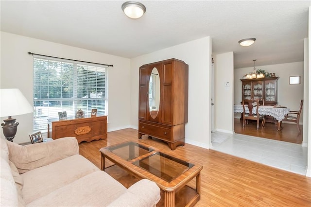 living room with wood-type flooring