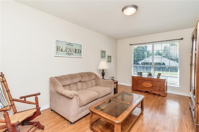 living room featuring light hardwood / wood-style floors