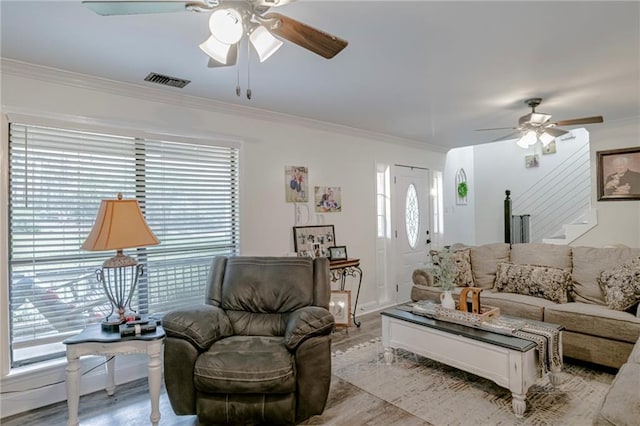 living room with ceiling fan, plenty of natural light, and crown molding