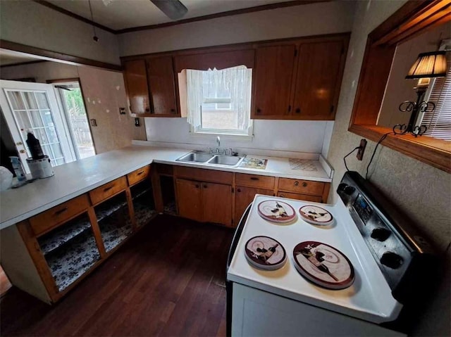 kitchen with dark hardwood / wood-style flooring, sink, ceiling fan, and white electric range oven