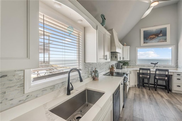 kitchen with hardwood / wood-style flooring, sink, white cabinets, custom range hood, and backsplash