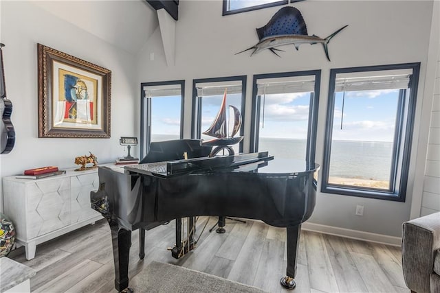 miscellaneous room with lofted ceiling with beams, light hardwood / wood-style floors, and a healthy amount of sunlight