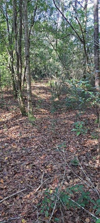 0 Dykes Rd, Eight Mile AL, 36613 land for sale