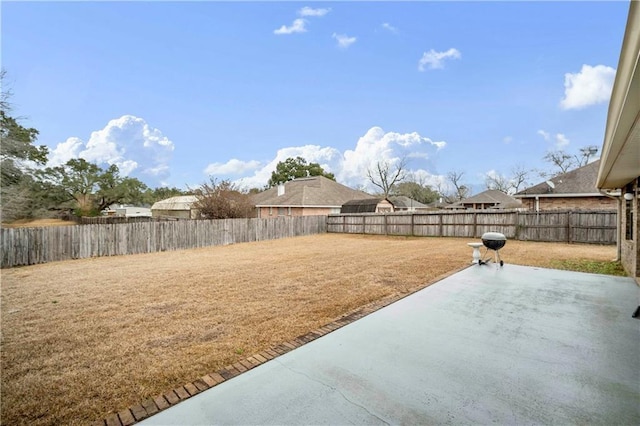 view of yard featuring a patio area