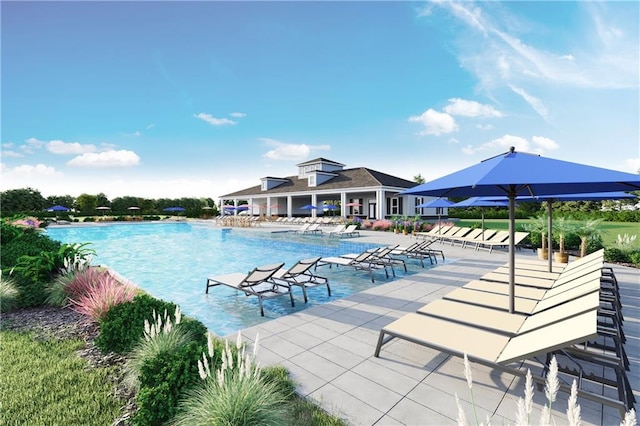 view of swimming pool featuring a patio area