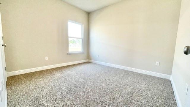 spare room with carpet floors