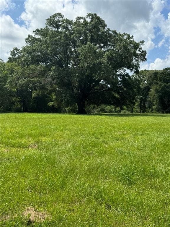0 Parker Rd W, Eight Mile, AL 36613