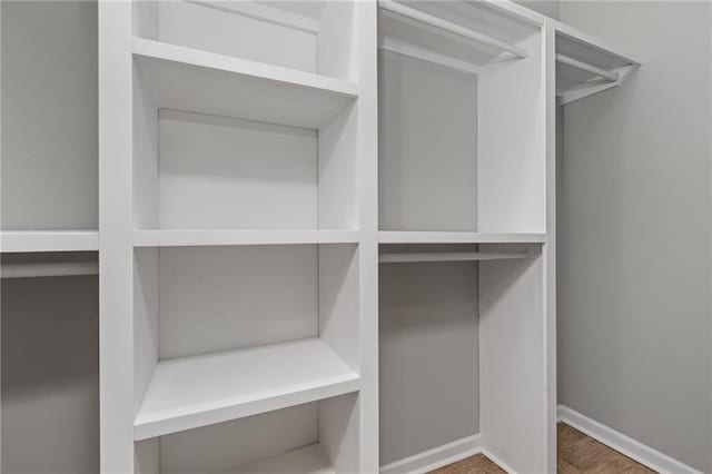 spacious closet featuring wood finished floors