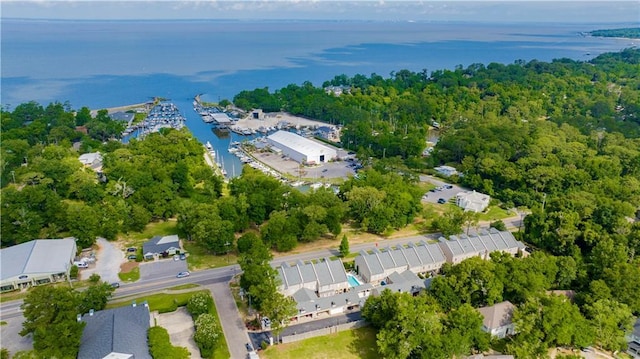 101 Fairhope Ct N Unit 16, Fairhope, AL 36532 - aerial overview of property's location featuring a large body of water
