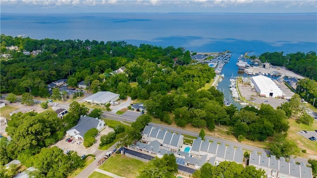 101 Fairhope Ct N Unit 16, Fairhope, AL 36532 - aerial view of property and surrounding area featuring a large body of water