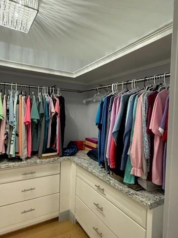 1071 Coke Ct, Mobile, AL 36695 - view of walk in closet