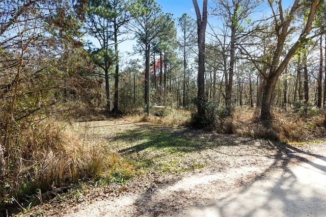 16045 Williams Rd, Coden AL, 36523 land for sale