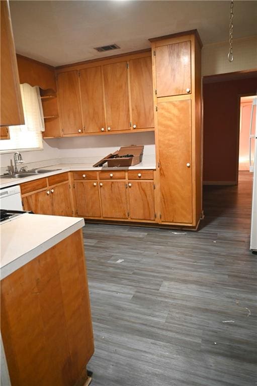 kitchen with dark hardwood / wood-style floors and sink