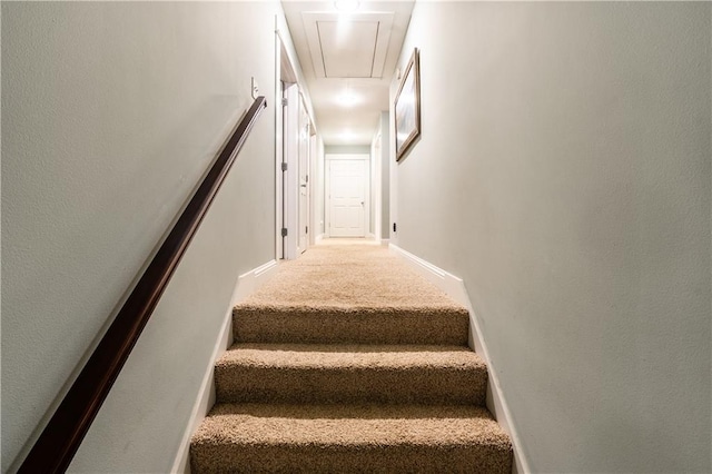 stairway with carpet flooring