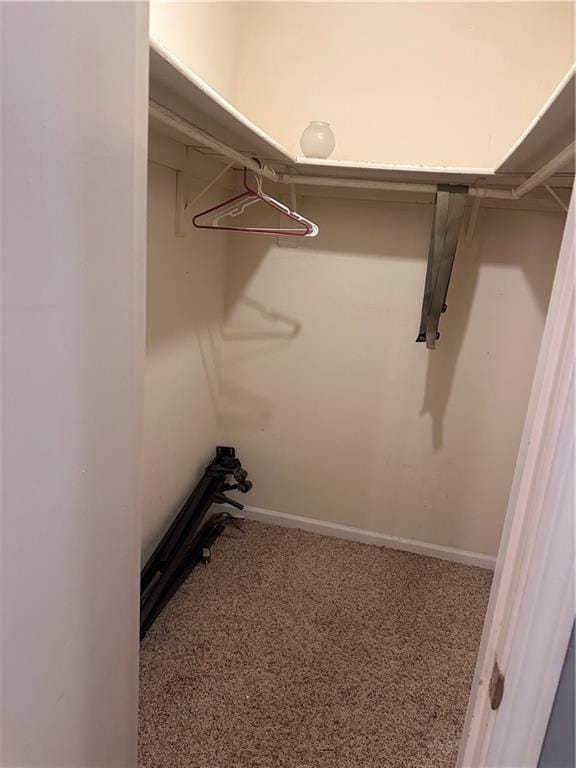 view of walk in closet