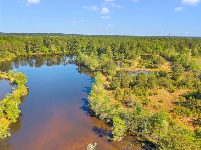 950 Red Fox Rd W, Mount Vernon, AL 36560 - aerial view featuring a water view and a forest view