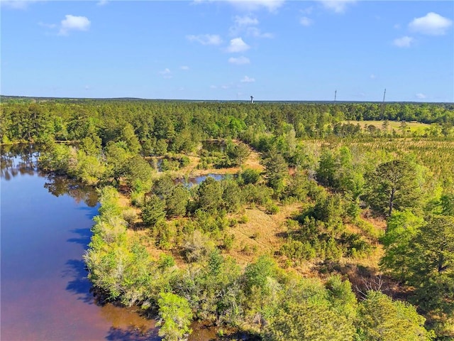 950 Red Fox Rd W, Mount Vernon, AL 36560 - drone / aerial view featuring a wooded view and a water view