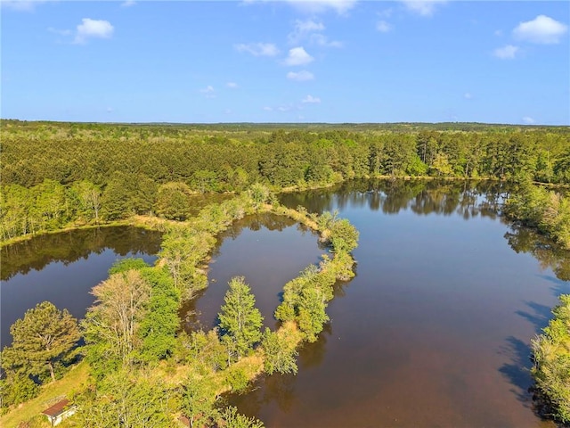 950 Red Fox Rd W, Mount Vernon, AL 36560 - bird's eye view featuring a wooded view and a water view