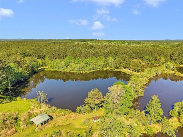 950 Red Fox Rd W, Mount Vernon, AL 36560 - aerial view featuring a wooded view and a water view