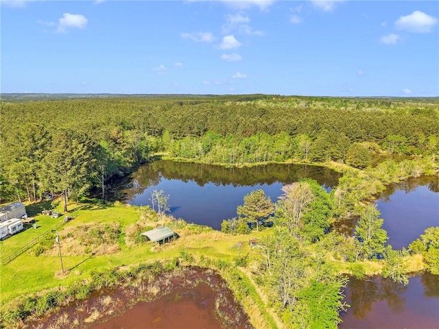 950 Red Fox Rd W, Mount Vernon, AL 36560 - bird's eye view with a water view and a forest view