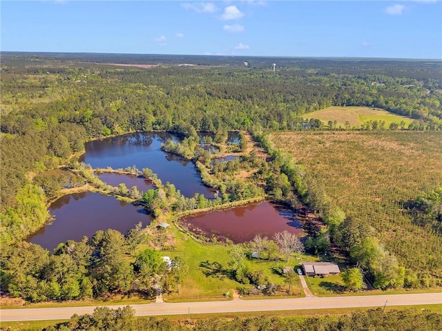 950 Red Fox Rd W, Mount Vernon, AL 36560 - bird's eye view featuring a wooded view and a water view