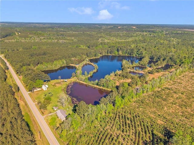 950 Red Fox Rd W, Mount Vernon, AL 36560 - birds eye view of property featuring a wooded view and a water view