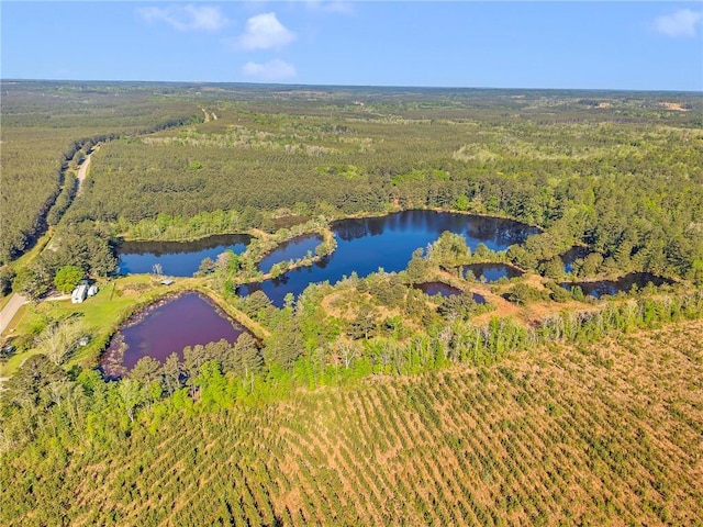 950 Red Fox Rd W, Mount Vernon, AL 36560 - bird's eye view with a wooded view and a water view
