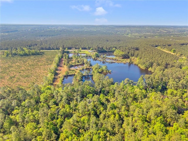 950 Red Fox Rd W, Mount Vernon, AL 36560 - bird's eye view with a view of trees and a water view