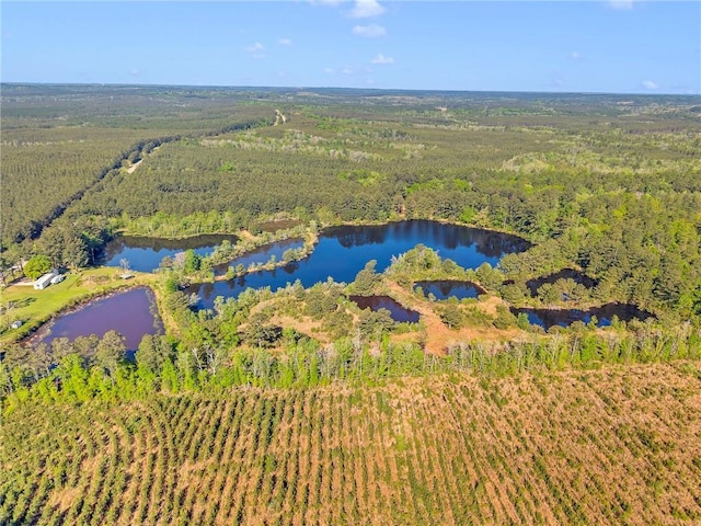 950 Red Fox Rd W, Mount Vernon, AL 36560 - drone / aerial view with a view of trees and a water view