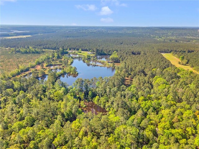 950 Red Fox Rd W, Mount Vernon, AL 36560 - aerial view featuring a water view and a forest view