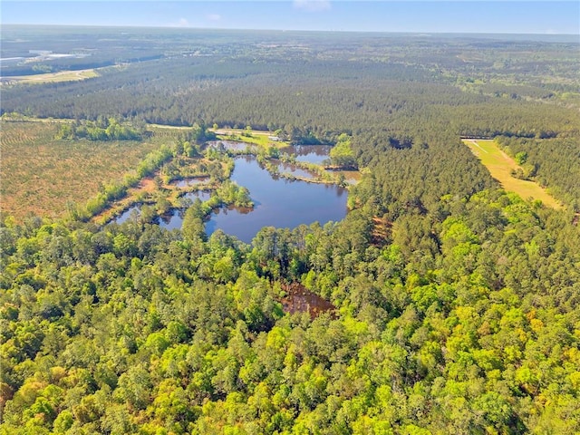 950 Red Fox Rd W, Mount Vernon, AL 36560 - drone / aerial view featuring a wooded view and a water view