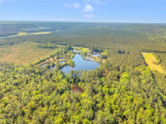 950 Red Fox Rd W, Mount Vernon, AL 36560 - aerial view with a wooded view and a water view
