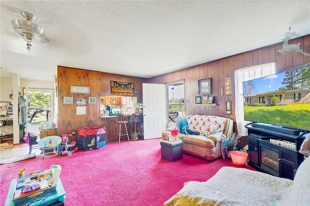 950 Red Fox Rd W, Mount Vernon, AL 36560 - living area with wood walls, a textured ceiling, and carpet floors