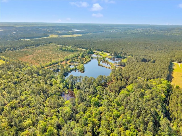 950 Red Fox Rd W, Mount Vernon, AL 36560 - drone / aerial view featuring a water view and a view of trees