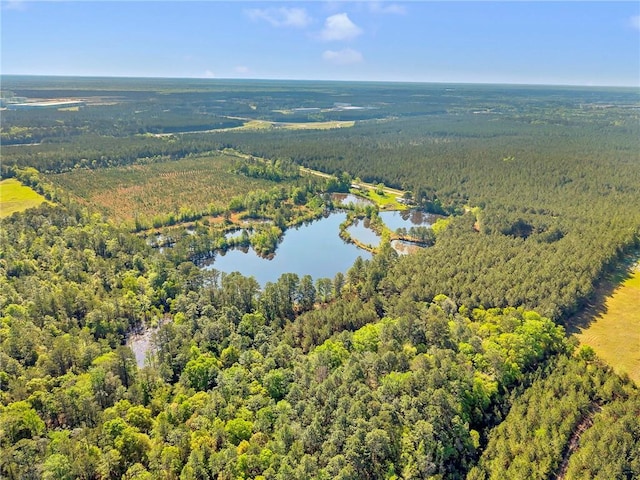 950 Red Fox Rd W, Mount Vernon, AL 36560 - bird's eye view featuring a water view and a view of trees