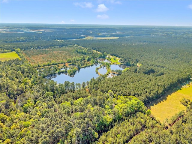 950 Red Fox Rd W, Mount Vernon, AL 36560 - aerial view with a wooded view and a water view