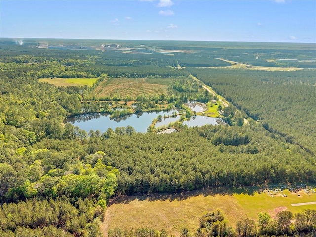 950 Red Fox Rd W, Mount Vernon, AL 36560 - aerial view with a water view and a forest view