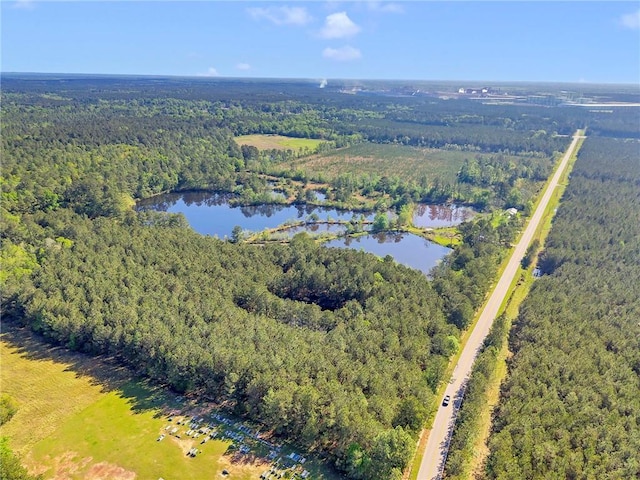950 Red Fox Rd W, Mount Vernon, AL 36560 - bird's eye view with a water view and a view of trees