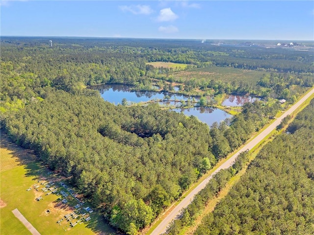 950 Red Fox Rd W, Mount Vernon, AL 36560 - bird's eye view featuring a forest view and a water view