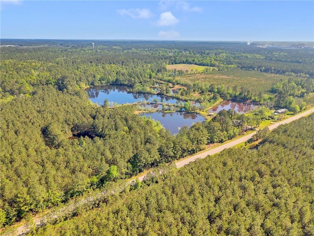 950 Red Fox Rd W, Mount Vernon, AL 36560 - drone / aerial view featuring a water view and a view of trees