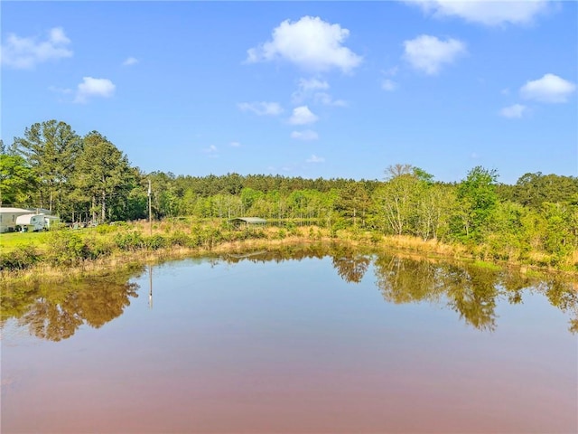 950 Red Fox Rd W, Mount Vernon, AL 36560 - water view with a forest view