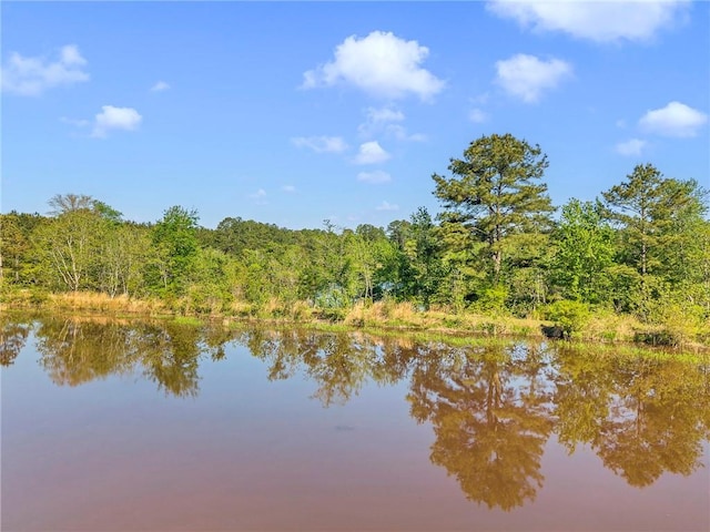 950 Red Fox Rd W, Mount Vernon, AL 36560 - view of water feature featuring a view of trees