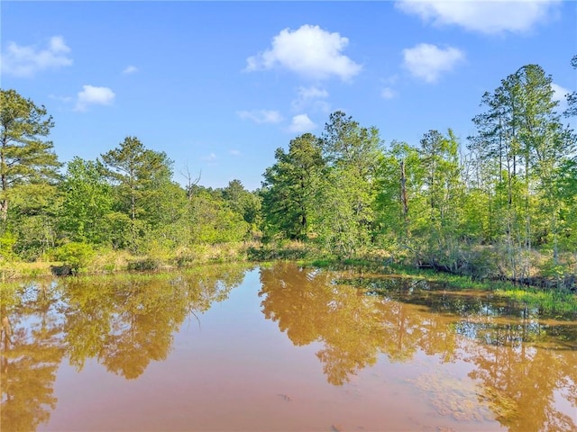 950 Red Fox Rd W, Mount Vernon, AL 36560 - water view featuring a forest view