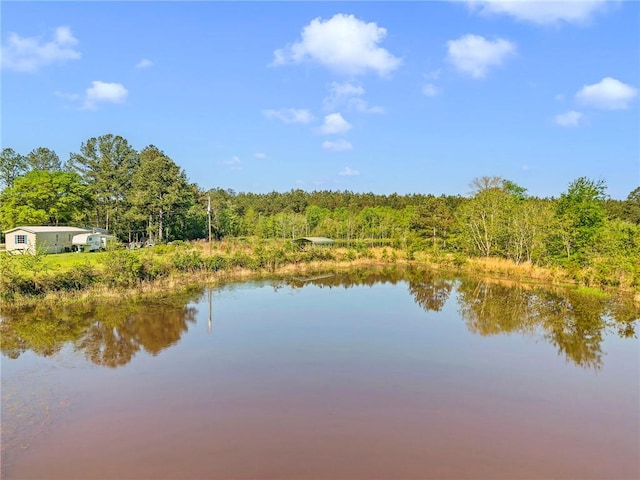950 Red Fox Rd W, Mount Vernon, AL 36560 - water view with a view of trees