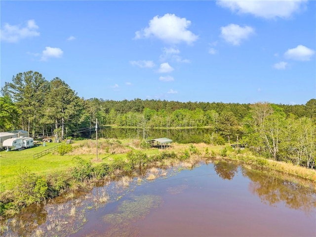 950 Red Fox Rd W, Mount Vernon, AL 36560 - water view featuring a forest view